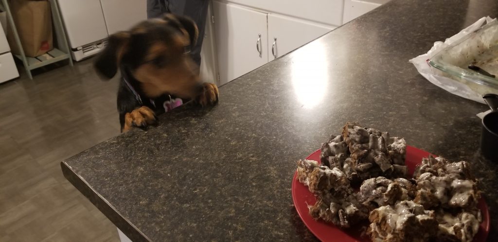 dog and cereal bars