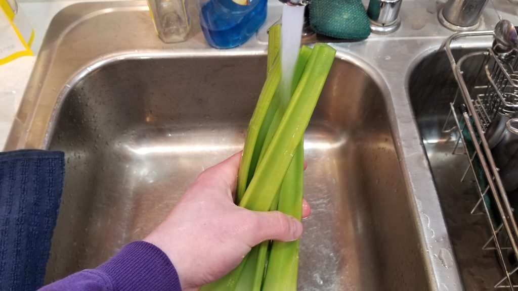 washing celery for chicken salad recipe