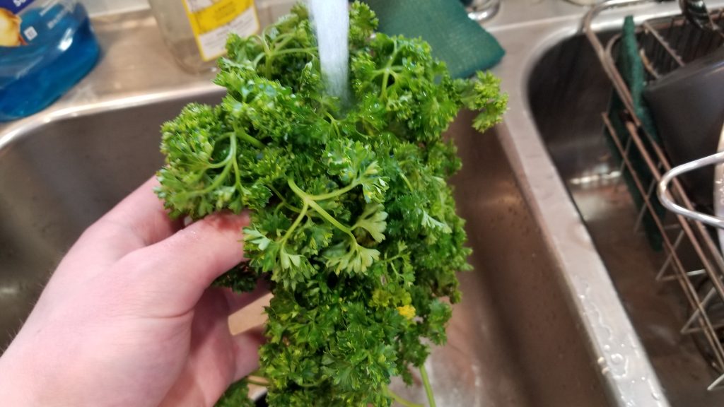 washing parsley