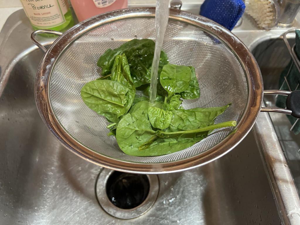 spinach being washed for salmon recipe