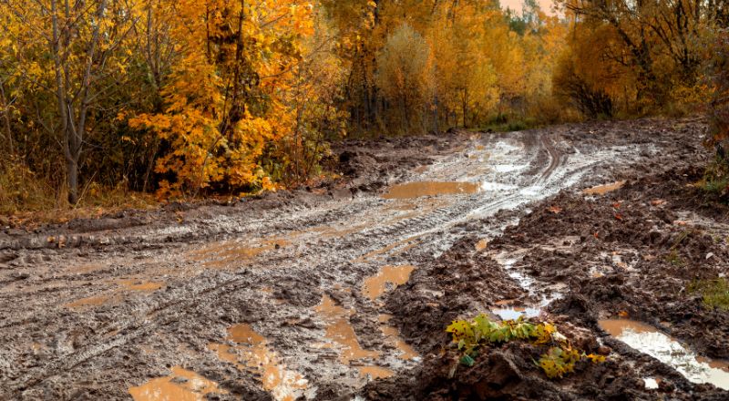 Expert Tips for Autumn Off-Roading Adventures